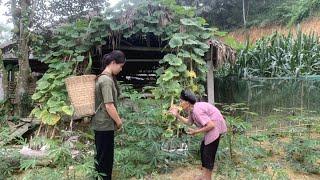 Homeless Girl Helps Old Lady and Is Given an Abandoned House || Ly Tieu Du