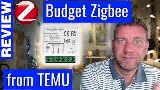 Budget-Friendly Home Automation Made EASY With TEMU?