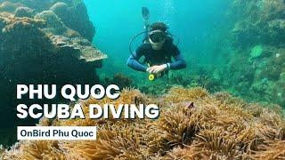 SCUBA-DIVING in PHU QUOC ISLAND TO EXPLORE PHU QUOC HALF-MOON REEF & U-TURN 2022