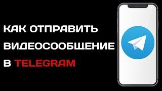 Как отправить видеосообщение в телеграме | Как записать видеосообщение в telegram