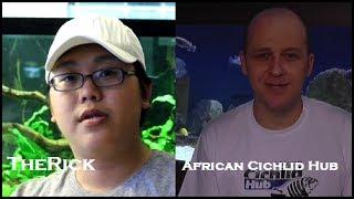 TheRick One on One with African Cichlid Hub