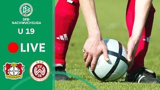 Bayer Leverkusen U 19 vs. Wehen Wiesbaden U 19 | U 19-DFB-NACHWUCHSLIGA 2024/25