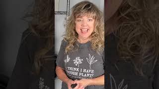 DIY Hydroponics System  10 Easy Steps