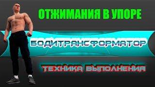 ОТЖИМАНИЯ В УПОРЕ | УПРАЖНЕНИЕ НА ТРИЦЕПС | КАК НАКАЧАТЬ МОЩНЫЙ ТРИЦЕПС