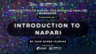 Introduction to Napari for Bioimage Analysis | Juan Nunez-Iglesias