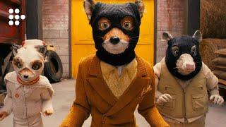 "Who am I?" | FANTASTIC MR FOX | MUBI