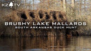 South Arkansas Mallards (The Back Stop Of The Migration) K Zone TV: "Brushy Lake Mallards"