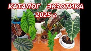 КАТАЛОГ ЭКЗОТИЧЕСКИХ РАСТЕНИЙ  на 2025 год 