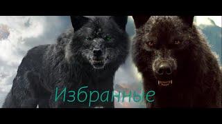 - ღ Мы были избраны, мы жертвуем собой ღ -