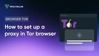 How to set up a proxy for the Tor browser. Step-by-step configuration guide