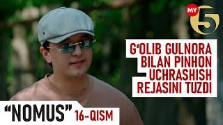 "Nomus" serialining 16-qismi