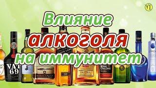 Глущенко А. Н. Влияние алкоголя на иммунитет