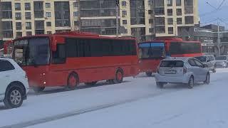 Автобусы КАвЗ-4238-82 едут друг за другом в автопарк МУП "ЯПАК" // Якутск (15.03.2023)