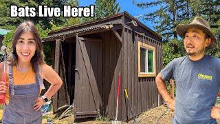 Building a She Shed | Ceramics Studio