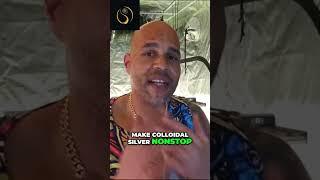 Colloidal Silver vs STS: Which Method is Best for Feminized Seeds?