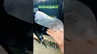 Обдув BAMBULAB P1S #short #shorts #subscribe #shortvideo #shortsvideo #subscribe #shortsfeed
