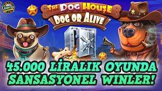  PRAGMATIC PLAY SLOT OYUNU THE DOG HOUSE DOG OR ALIVE  MEGA SPIN #CASINO #SLOT #SLOTOYUNLARIBIGWIN