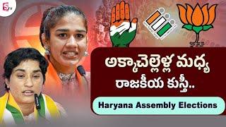 అక్కాచెల్లెళ్ల మధ్య రాజకీయ సుస్తీ.. | Haryana Assembly Elections 2024 | Sumantv