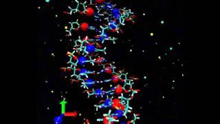 Computer simulation of the thermal motion of poly-AT DNA under standard conditions