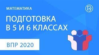 ВПР-2020 по математике. Подготовка в 5 и 6 классах