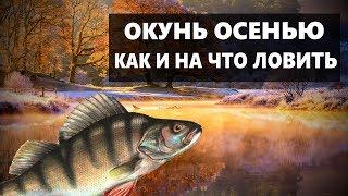 ОКУНЬ ОСЕНЬЮ. ГДЕ КАК И НА ЧТО ЛОВИТЬ