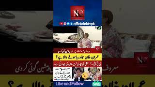 #breakingnews #imrankhan #imrankhannews #ptinews #news2023 #officialnktvpk #viral #shortsfeed