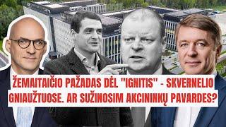 ŽEMAITAIČIO PAŽADAS DĖL "IGNITIS" - SKVERNELIO GNIAUŽTUOSE. AR SUŽINOSIM AKCININKŲ PAVARDES?