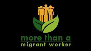 Seasonal workers in Ontario greenhouses