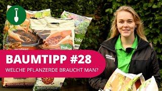 BAUMTIPP #28 | Welche Pflanzerde braucht man?