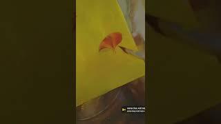 #flower petals drawing// Sakshi yadav 