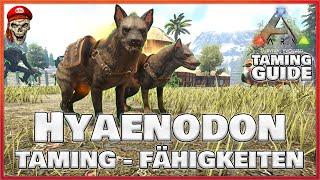  ARK TAMING GUIDE  HYAENODON zähmen + Fähigkeiten | ARK: Survival Evolved | #Doctendo