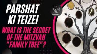 Parshat Ki Teitzei Is There a Hidden Connection Between the Mitzvot?