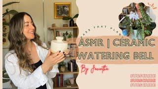 ASMR Watering Houseplant Collection with Ceramic Watering Bell | Relaxing Indoor Plant Routine #Rain