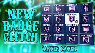 NEW INSTANT BADGE GLITCH AFTER PATCH 13! NEW BADGE GLITCH 2K20! BEST BADGE GLITCH IN NBA 2K20!