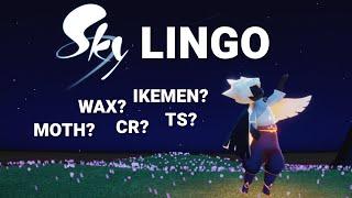 Sky Language Explained for Beginners | Sky : Children of The Light 