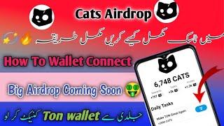 How to connect Wallet CATS‍⬛ || New Task Available|| Task complete kaisa kry|| CATS‍⬛ Big Airdrop