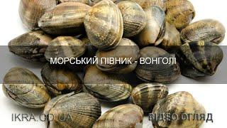 Вонголе - морской петушок видео обзор от икра.od.ua и способы приготовления пасты