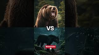 Animal Battles-Python, Bear Vs Panther #animals #top #trending #shorts #top #subscribe#fyp
