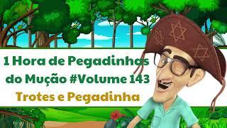 1 Hora de Pegadinhas do Mução   #Volume  143 - Trotes e Pegadinha 2024