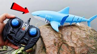 Top 10 Best Remote Control Sharks on Amazon!