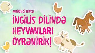 İNGİLİS DİLİNDƏ HEYVANLARI ÖYRƏNƏK! (Azərbaycan dilində qarşılığı ilə) #5