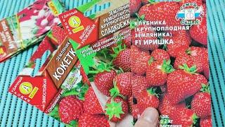 Семена клубники на новый сезон. Земляника садовая ремонтантная.