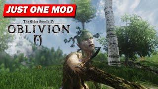 This One MOD Completely Changes The Way Oblivion Feel !!!