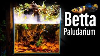 Mist Dripwall Betta Paludarium