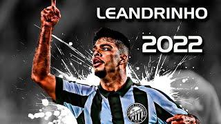 LEANDRINHO 2022