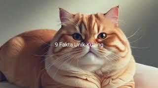 9 Fakta menarik Kucing