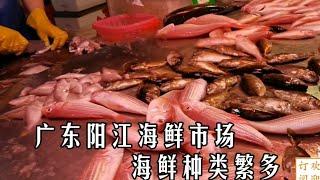 广东阳江海鲜市场逛街，海鲜种类比厦门多，花不到100能买多少#客家话 #市场 #海鲜