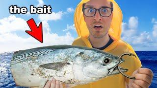Using Giant Bait to Catch Giant Fish