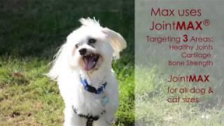 Joint MAX® Top-Rated Dog Hips & Joint Health Supplement