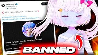 Vtuber Was BANNED Before The Stream Even Happened...